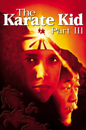 The Karate Kid Part III 1989 BluRay [Hindi + English] 480p, 720p