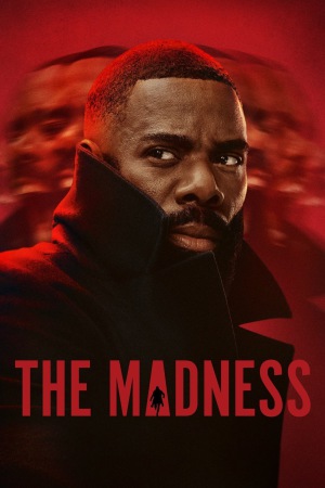 The Madness (2024) Season 1 [Hindi + Tamil + Telugu + English] WebRip 480p, 720p ESub - Complete