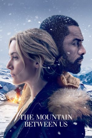 The Mountain Between Us 2017 BluRay [Hindi + English] 480p, 720p ESub
