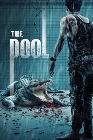 The Pool 2018 BluRay [Hindi + Tamil + Telugu + Kannada + Thai] 480p, 720p ESub