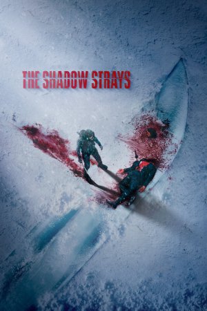 The Shadow Strays 2024 WebRip [Hindi + English] 480p, 720p ESub