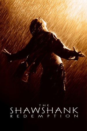 The Shawshank Redemption 1994 BluRay [Hindi + Tamil + Telugu + English] 480p, 720p ESub