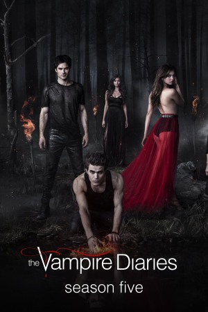 The Vampire Diaries (2013) Season 5 [English] BluRay 480p 720p ESub - Complete
