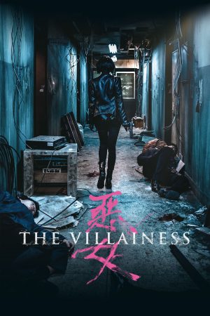 The Villainess 2017 BluRay [Hindi + Korean] 480p, 720p ESub