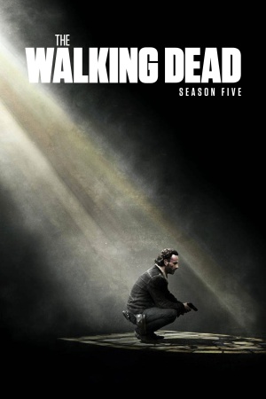 The Walking Dead (2014) Season 5 [English] BluRay 480p 720p ESub - Complete