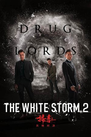 The White Storm 2: Drug Lords 2019 WebRip [Hindi] 480p, 720p