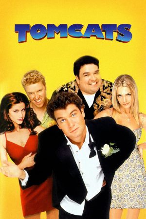 Tomcats 2001 BluRay [Hindi + English] 480p, 720p ESub