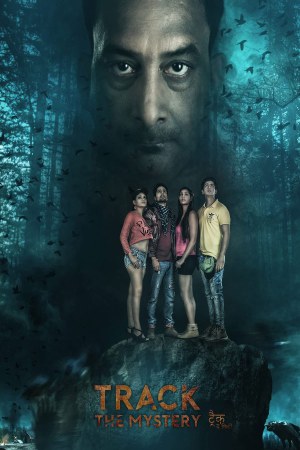 Track The Mystery 2021 WebRip [Hindi] 480p, 720p ESub