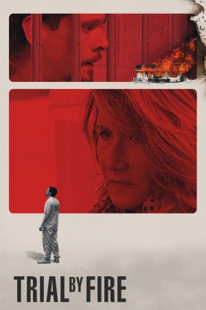 Trial by Fire 2019 WebRip [Hindi + English] 480p, 720p ESub