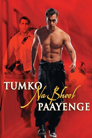 Tumko Na Bhool Paayenge 2002 WebRip [Hindi] 480p, 720p