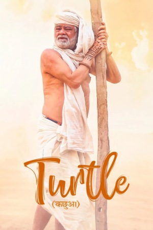 Turtle 2018 WebRip [Hindi] 480p, 720p ESub