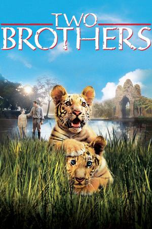 Two Brothers 2004 BluRay [Hindi + English] 480p, 720p ESub