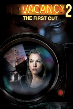 Vacancy 2: The First Cut 2008 BluRay [Hindi + English] 480p, 720p ESub