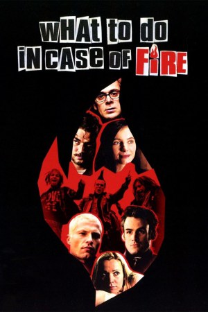 What to Do in Case of Fire? 2001 WebRip [Hindi + Tamil + German] 480p, 720p ESub