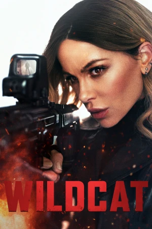 Wildcat 2025 WebRip [Hindi + Tamil + Telugu + English] 480p 720p ESub