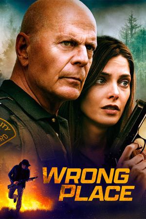 Wrong Place 2022 BluRay [Hindi + Tamil + English] 480p, 720p