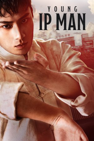 Young Ip Man: Crisis Time 2020 WebRip [Hindi + Tamil + Telugu] 480p, 720p ESub